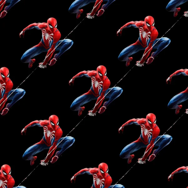 Spiderman on the Web 23
