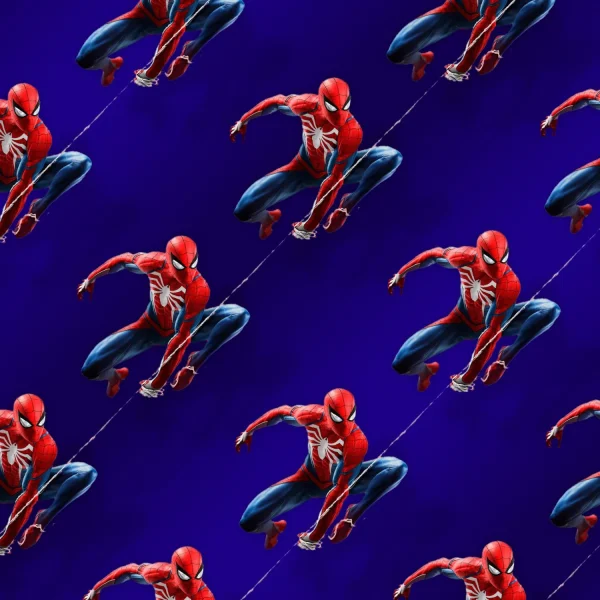 Spiderman on the Web 24