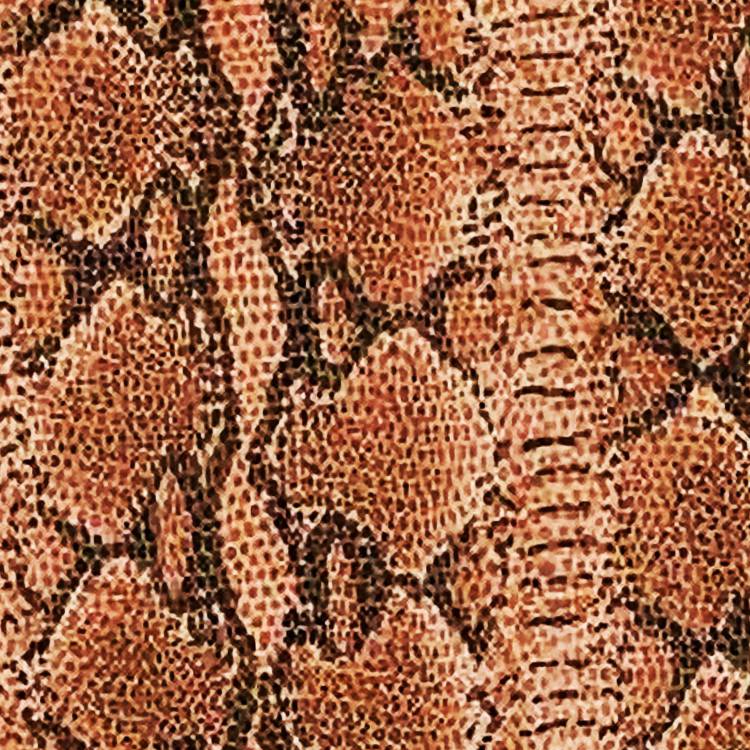 Copper Head Skin Copper Head Skin