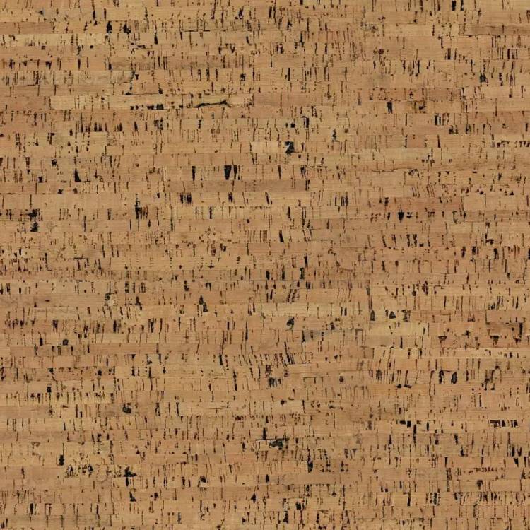 Cork Board Cork Board