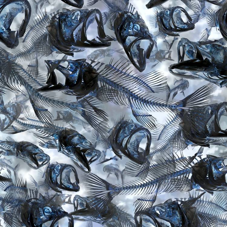 Fish Frenzy HexCamo Fish Frenzy HexCamo