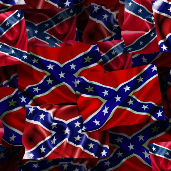 Flag of the Southern States thumb