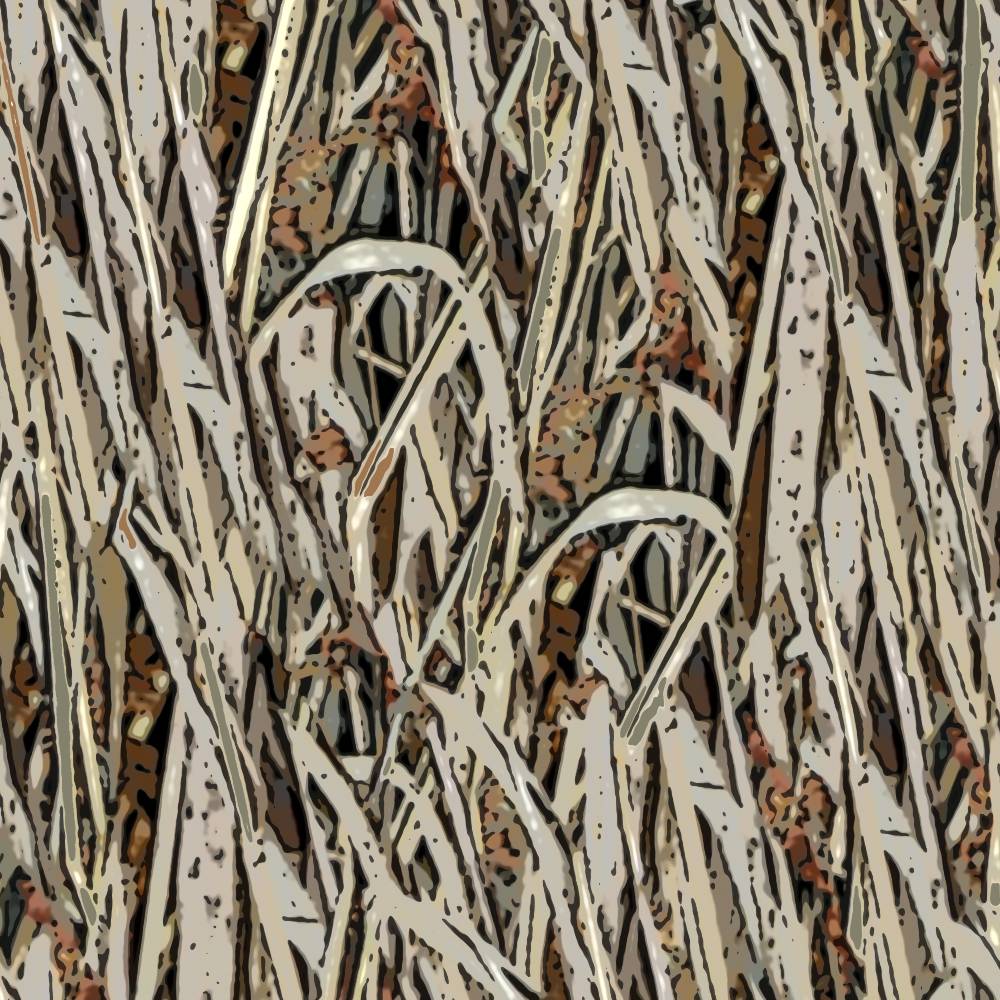 Marsh Blind Marsh Blind