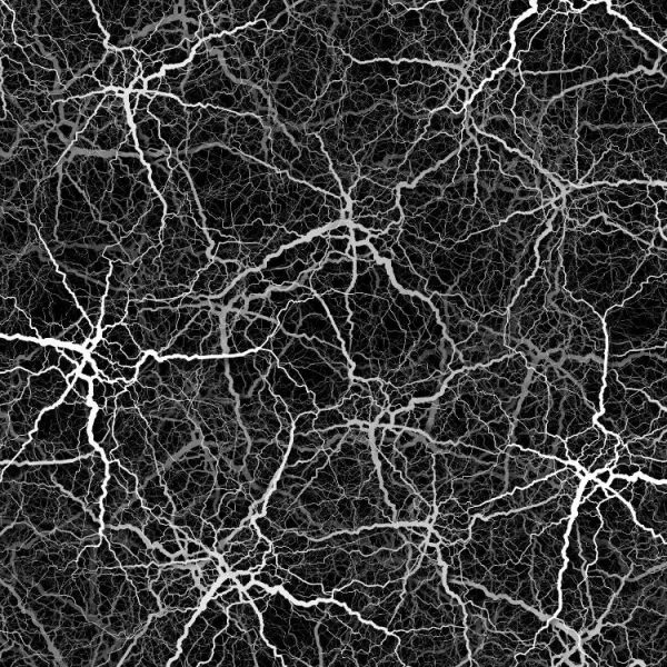 A network of white, branching lines resembling a neural or vascular pattern on a black background.