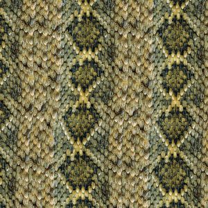 Western Diamondback Rattler Scales Western-Diamondback-Rattler-Scales-thumb
