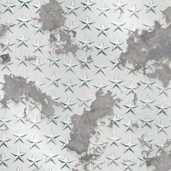 Texture of a metal sheet with a pattern of embossed stars and areas of gray rust or weathering. The star pattern is uniformly distributed, and the weathered patches vary in size and shape across the surface.