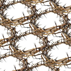 Crown of Thorns 22 Crown-of-Thorns-22-thumb