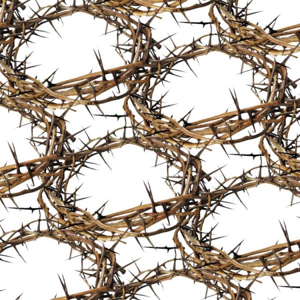 Crown of Thorns 22 – Pattern Crew