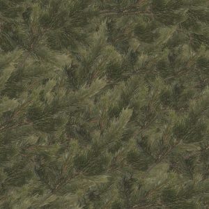Fir Background Fir-Background-thumb
