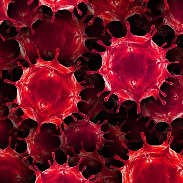 Red virus-like structures with spiky extensions are shown closely packed together, resembling a magnified microscopic view. The image is highly detailed, highlighting the texture and intricate formations of each structure.