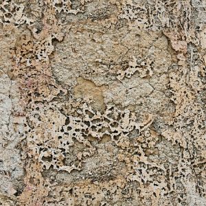 Weathered Stucco Weathered-Stucco-thumb
