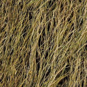 Duck Grass Camouflage Duck-Grass-Camo-thumb