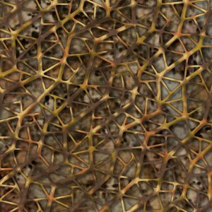 Cryptic Cells Camo 24 Cryptic-Cells-Camo-24-thumb