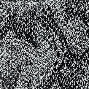 Snakeskin 44 Snakeskin-44-thumb