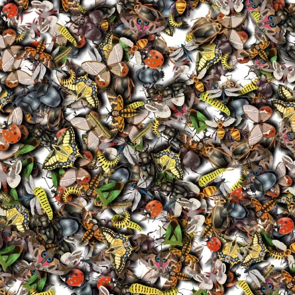 A dense collage of various insects, including beetles, butterflies, ladybugs, and moths, in a range of colors such as yellow, orange, and brown, densely packed against a white background.