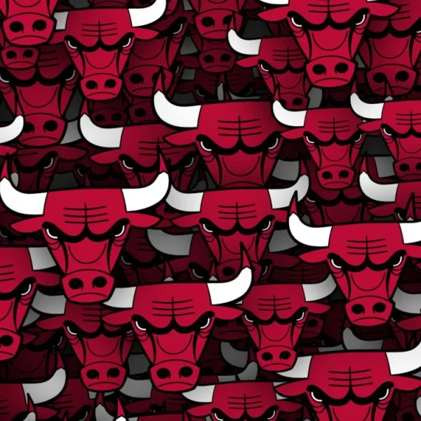 Chicago Bulls 23 thumb