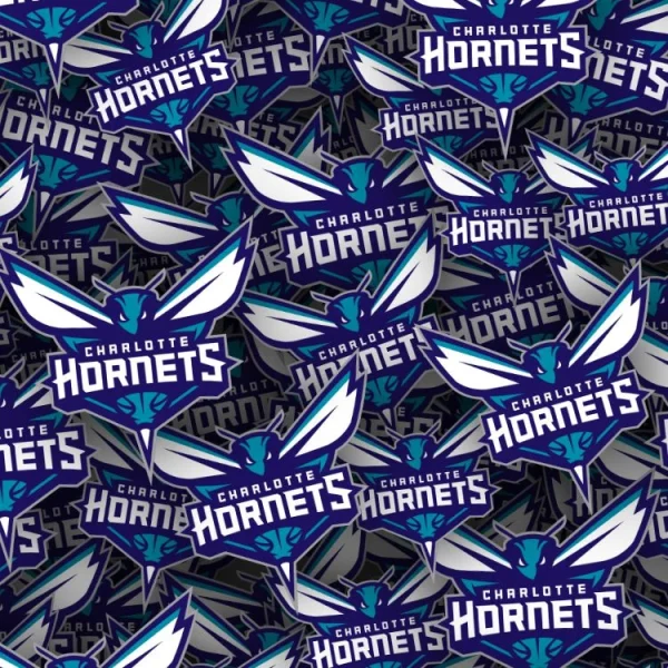 Charlotte Hornets 22 thumb