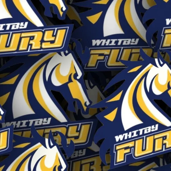Whitby Fury 22 thumb