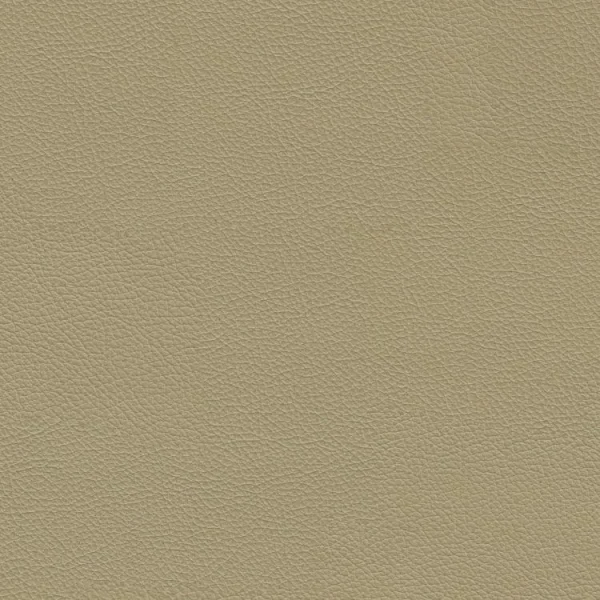 Fine Grained Tan Leather thumb