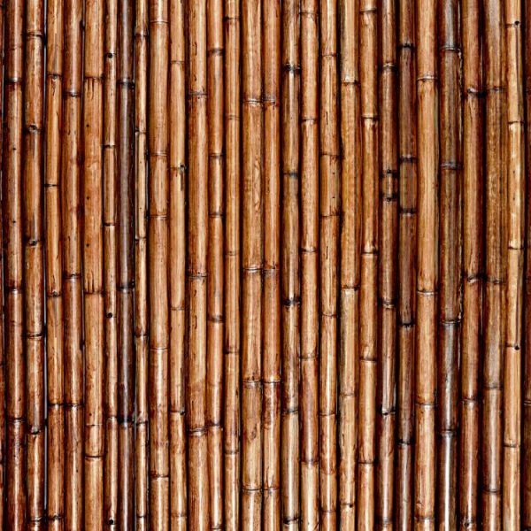 Varnished Bamboo Pattern Crew