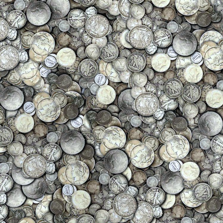 Tarnished Silver US Coins Pattern Crew