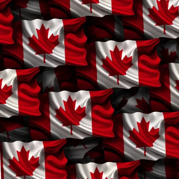 Canadian Flag 24 thumb