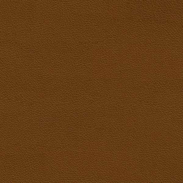 Fine Grained Brown Leather thumb