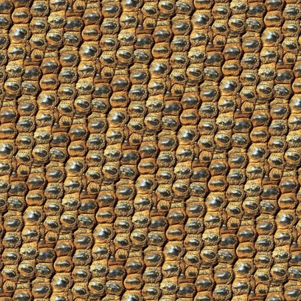Dragon Leather thumb