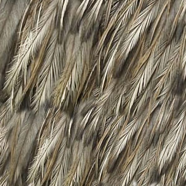 Emu Feathers Pattern Crew