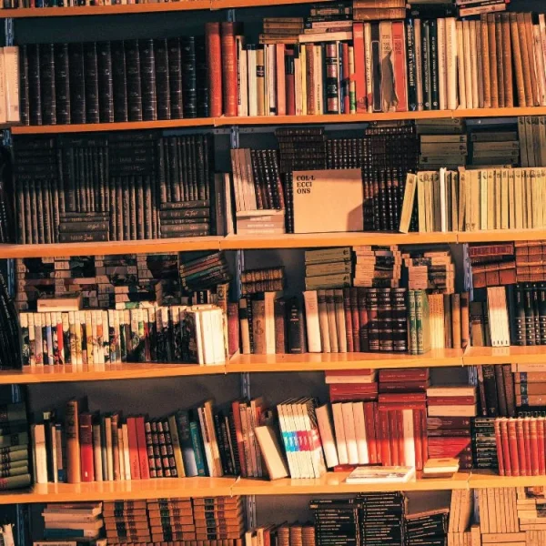 BookShelf 28 thumb 1