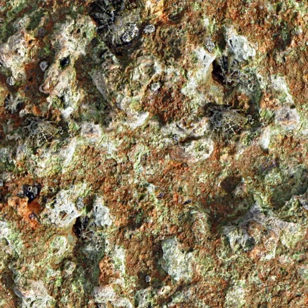 Marine 22 Camo thumb