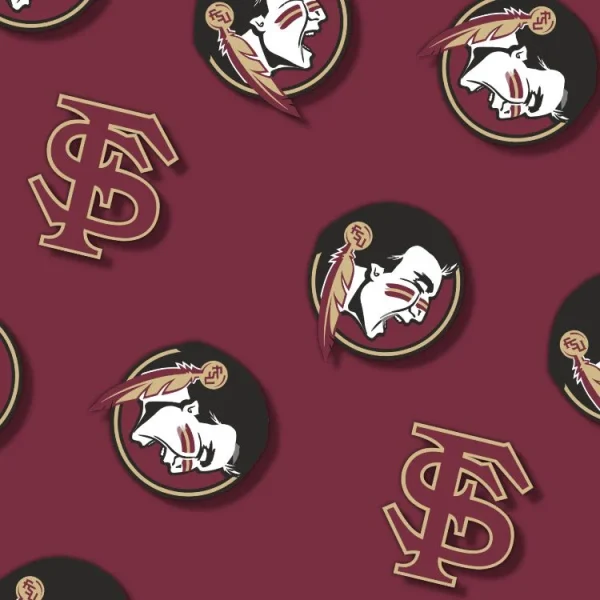 FSU Seminoles 25 thumb