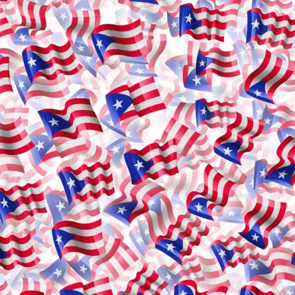 Puerto Rico Flags 24 thumb