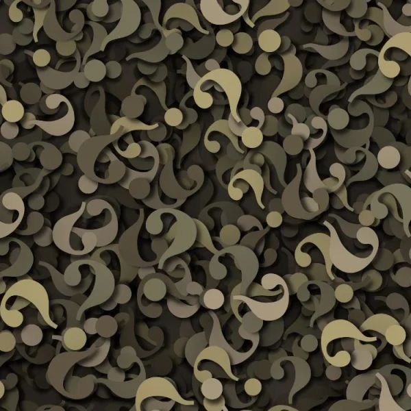 Riddler Camo 22
