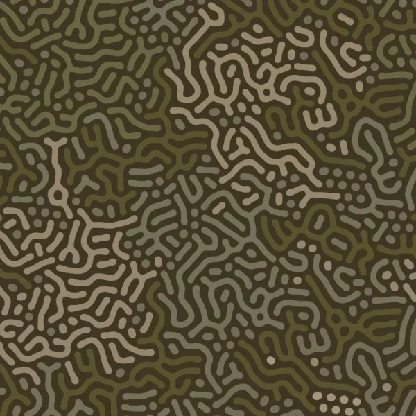 Brain Maze Camo 22