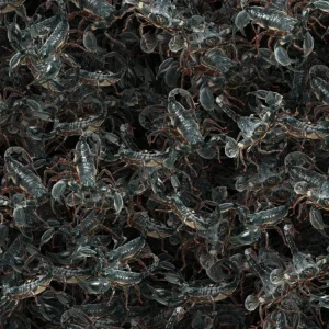 Nest of Scorpions 22