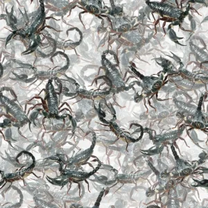 Nest of Scorpions 23