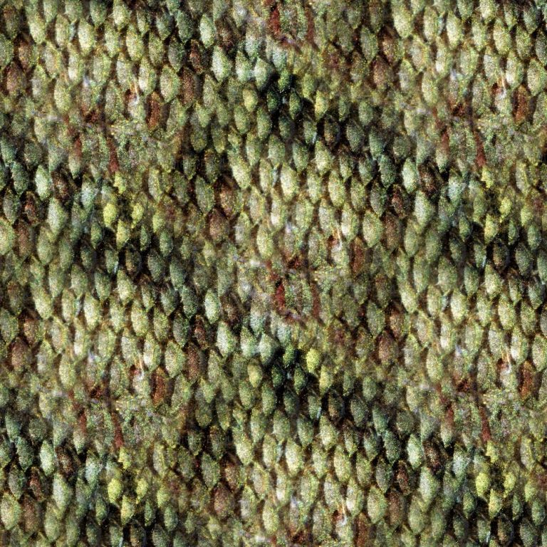 Bass Scales Camouflage Pattern Crew