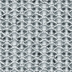 Fish Scales Overlay
