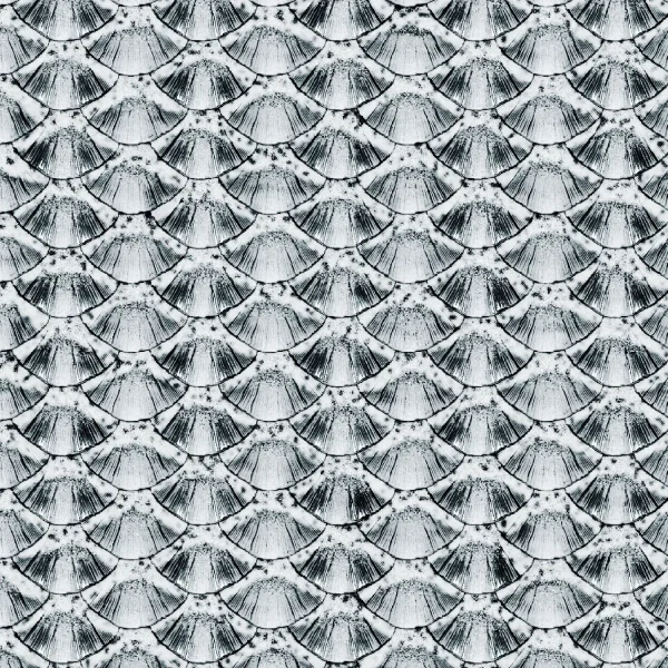 Fish Scales Overlay
