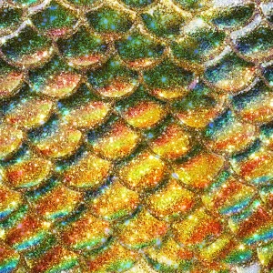Rainbow Scales 28