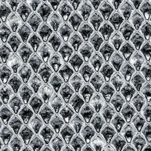Shark Skin 22