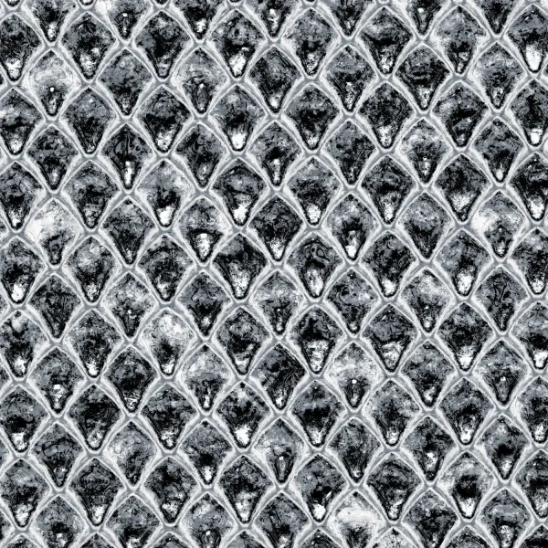 Shark Skin 22