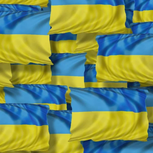 Ukrainian Flag 23