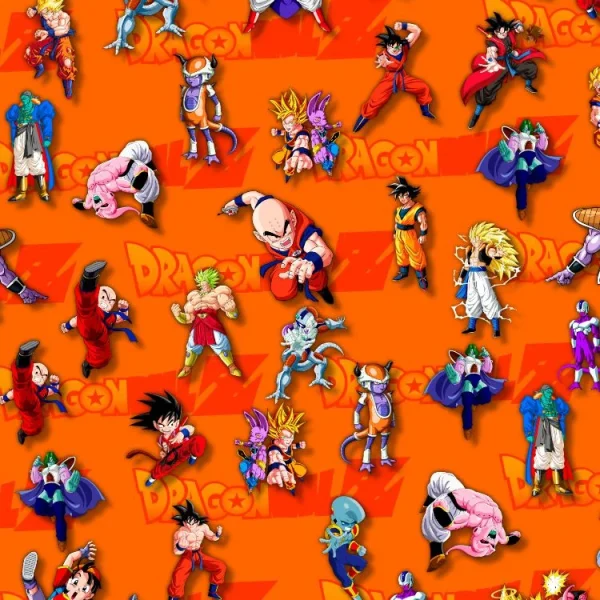 Dragon Ball Z 28