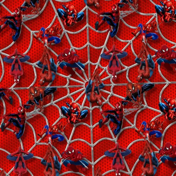 Spiderman 28