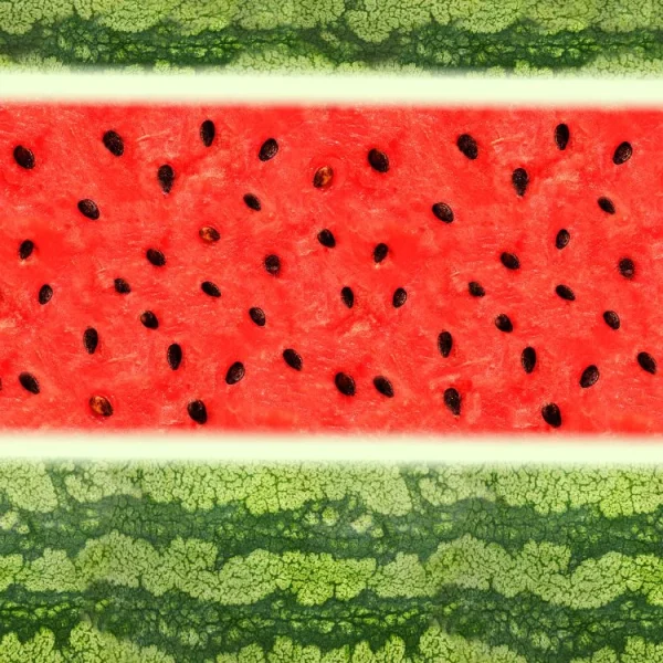 Watermelon 26