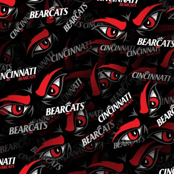 Cincinnati Bearcats 22