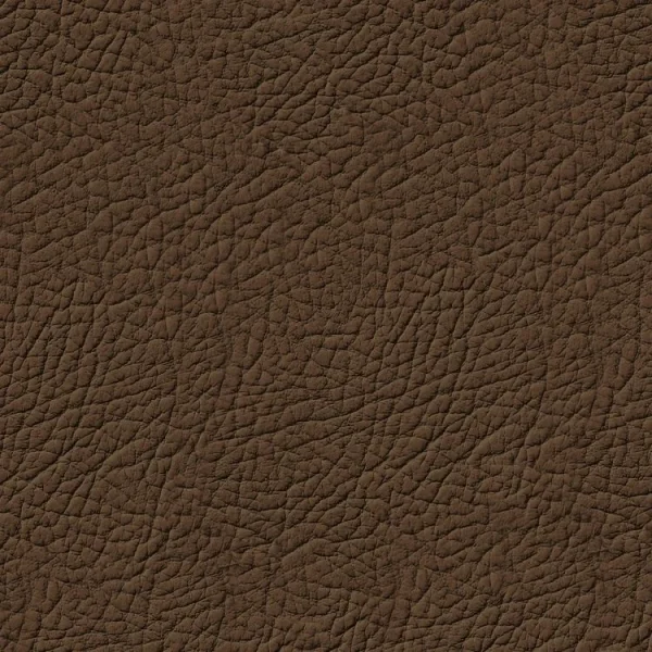 Brown Leather 23