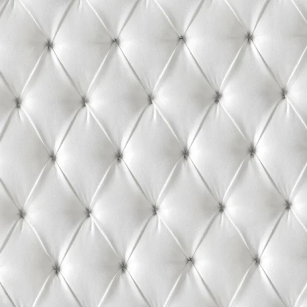 Tufted Leather Upholstery 24